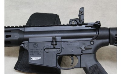Smith & Wesson M&P15-22 ~.22 Long Rifle~ - Image 3 of 7