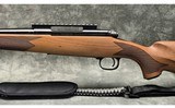 Winchester ~ Model 70 Sporter ~ .300 Win Mag - 8 of 10