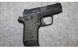 Springfield Armory~911~.380 ACP - 1 of 3