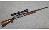 Remington~742 Woodsmaster~30-06 - 1 of 10