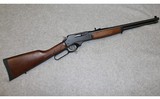 Henry ~ .30-30 Winchester - 1 of 10