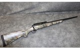 Savage ~ Model 10 ~ 6.5 Creedmoor