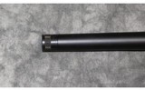 Savage ~ Impulse ~ 300 Winchester Magnum - 7 of 9