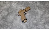 Sig Sauer ~ M18 ~ 9mm