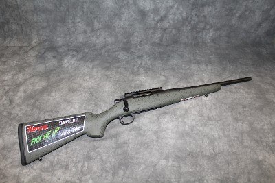 Howa
1500
.308 Winchester
