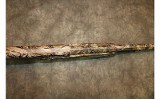 Remington ~ 870 ~ Super Magnum - 5 of 7