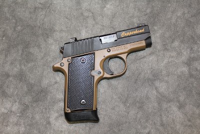 SIG SAUER ~ P238 COPPERHEAD ~ .380 Auto