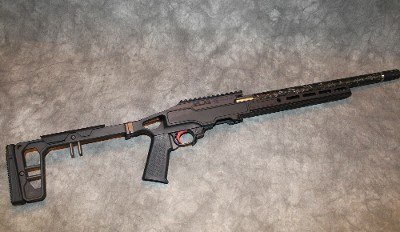 Ruger ~ 10/22 ~ .22 Long Rifle