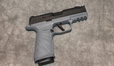 Sig Sauer ~ P365 ~ 9mm