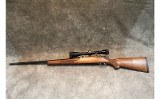 Ruger ~ M77 Mark II ~ .300 Win Mag - Image 5 of 9