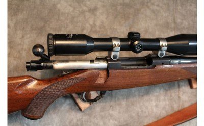 Ruger ~ M77 ~ .243 Win - Image 6 of 12