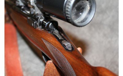 Ruger ~ M77 ~ .243 Win - Image 11 of 12