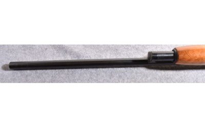 Western Field ~ M550ABD ~ 12 Gauge - Image 9 of 10