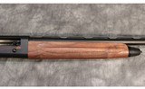 Beretta ~ A300 Outlander ~ 12 Gauge - 4 of 10