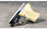 Smith & Wesson ~ 61-2 ~ .22 LR - 5 of 5