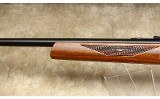 Savage~65M~.22 WMR - 6 of 9