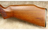 Savage~65M~.22 WMR - 8 of 9