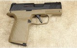 SIG SAUER~P365 x~9MM Luger - 3 of 3