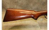 Winchester Model 24 - 5 of 10