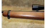 Ruger 10/22 - 9 of 10