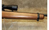 Ruger 10/22 - 3 of 10
