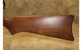 Ruger 10/22 - 7 of 10