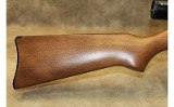 Ruger 10/22 - 5 of 10