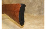 Ruger 10/22 - 6 of 10