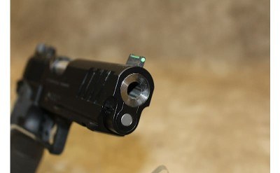 Springfield Armory Prodigy - Image 5 of 10