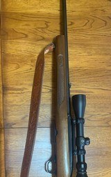 Winchester Model 100
243 win - 1 of 8