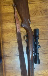 Winchester Model 100
243 win - 4 of 8