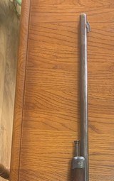 Winchester model 03 automatic 22 - 6 of 8