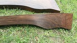 Matched Pair English Walnut Exhibition - 6 of 15