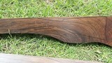 Matched Pair English Walnut Exhibition - 5 of 15