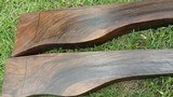 Matched Pair English Walnut Exhibition - 11 of 15