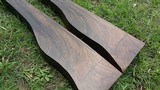 Matched Pair English Walnut Exhibition - 8 of 15