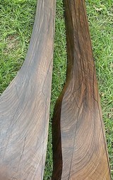 Matched Pair English Walnut Exhibition - 10 of 15