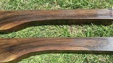 Matched Pair English Walnut Exhibition - 2 of 15