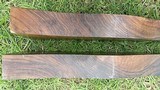 Matched Pair English Walnut Exhibition - 12 of 15