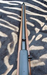 Ruger 10/22, 50th Anniversary Commemorative, 22LR - 9 of 12