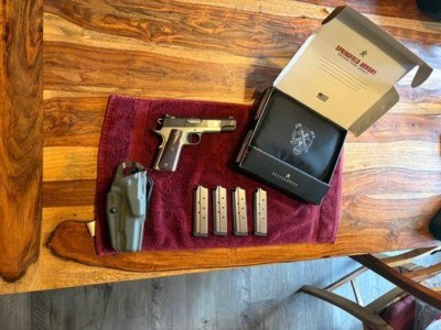 Springfield Armory Ronin 10mm - Image 4 of 5