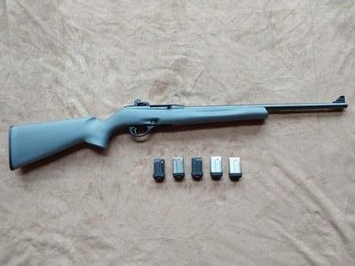 Remington, Model 597, 22 Caliber