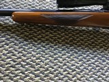 Ruger Mod.77-V Varmint 22-250 REM Tang Safety - 14 of 15