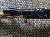 Ruger Mod.77-V Varmint 22-250 REM Tang Safety - 8 of 15