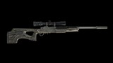 RUGER, MINI14, SEMI-AUTO 223 - 1 of 10