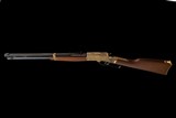 HENRY BIGBOY SIDE GATE H006G 44 MAGNUM 20
