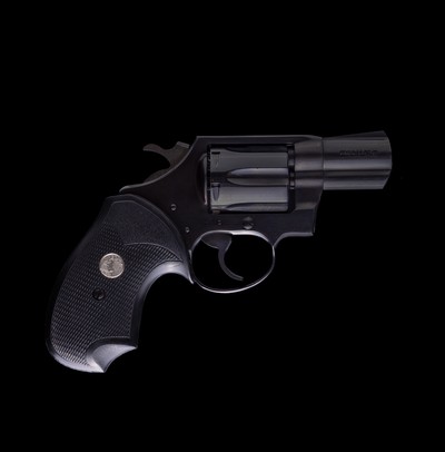 Colt Detective Special2
