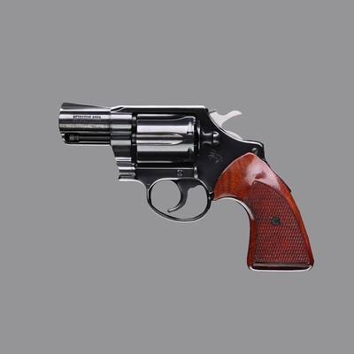 Colt Detective Special Third Issue.38 Special2