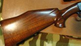 Winchester Model 61 Grooved, Custom Stock, Scoped, Cased,CA OK! - 4 of 15