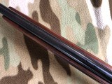 Colt 
